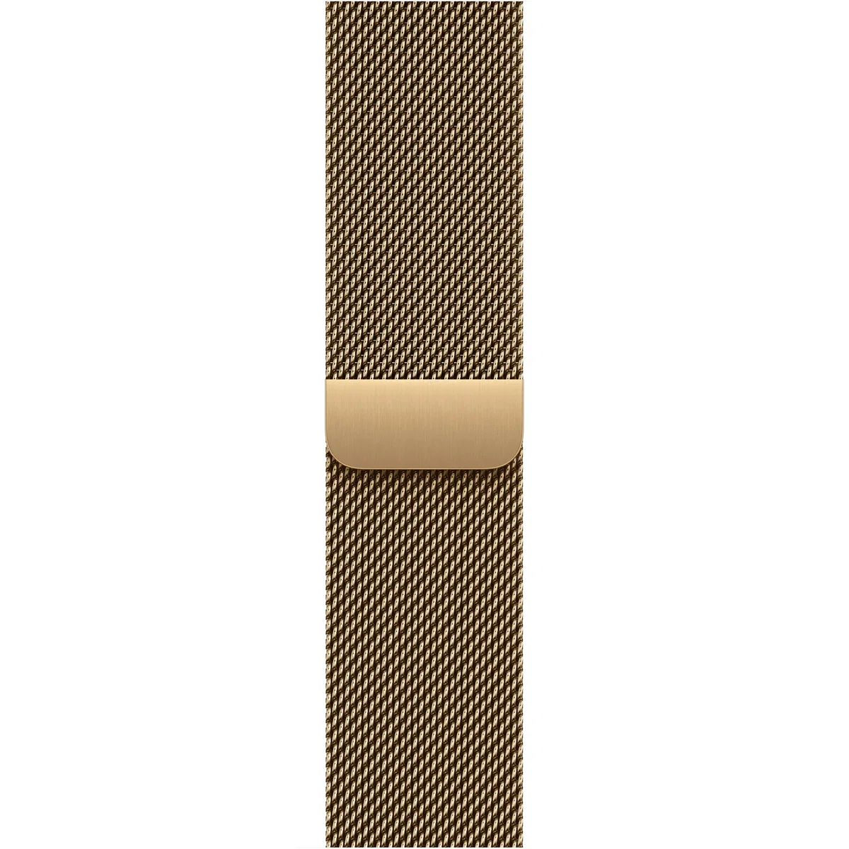 Apple Watch S12 42mm Gold Titanium