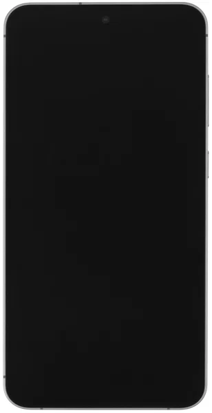 Samsung Galaxy S24 FE 8/256GB Gray