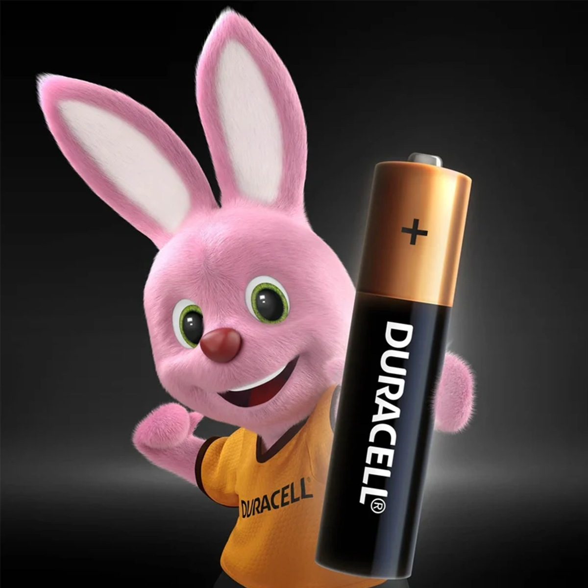 Батарейка Duracell AA
